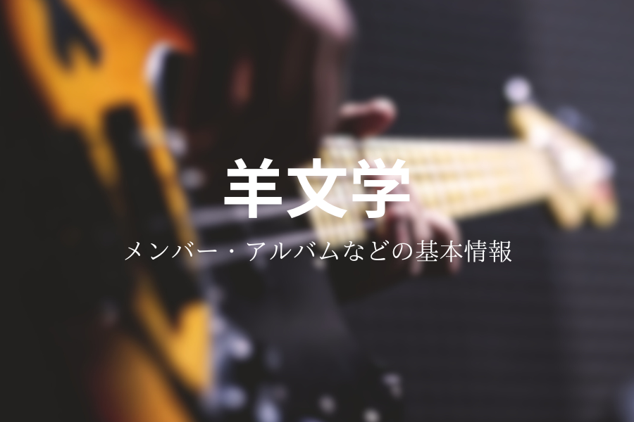 羊文学 THE NORTH FACE 塩塚モエカ コラボレーション ギターケース
